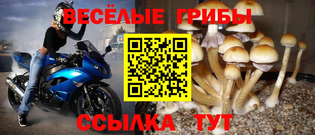 Тихвин  Галлюциногенные грибы GOLDEN TEACHER  Вход с VPN 