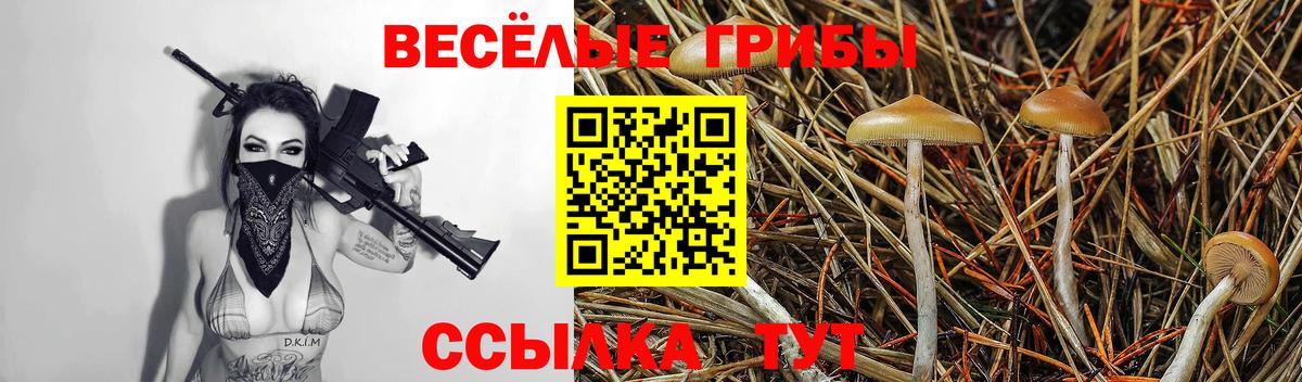 Бошки Шишки  Вход с VPN  APVP СК кристаллы  ГАШ  Тихвин  Меф МЯУ МЯУ   Гашиш 